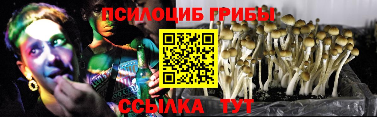 Галлюциногенные грибы MAGIC MUSHROOMS  Псилоцибиновые грибы Magic Shrooms  Тулун  Вход с VPN 